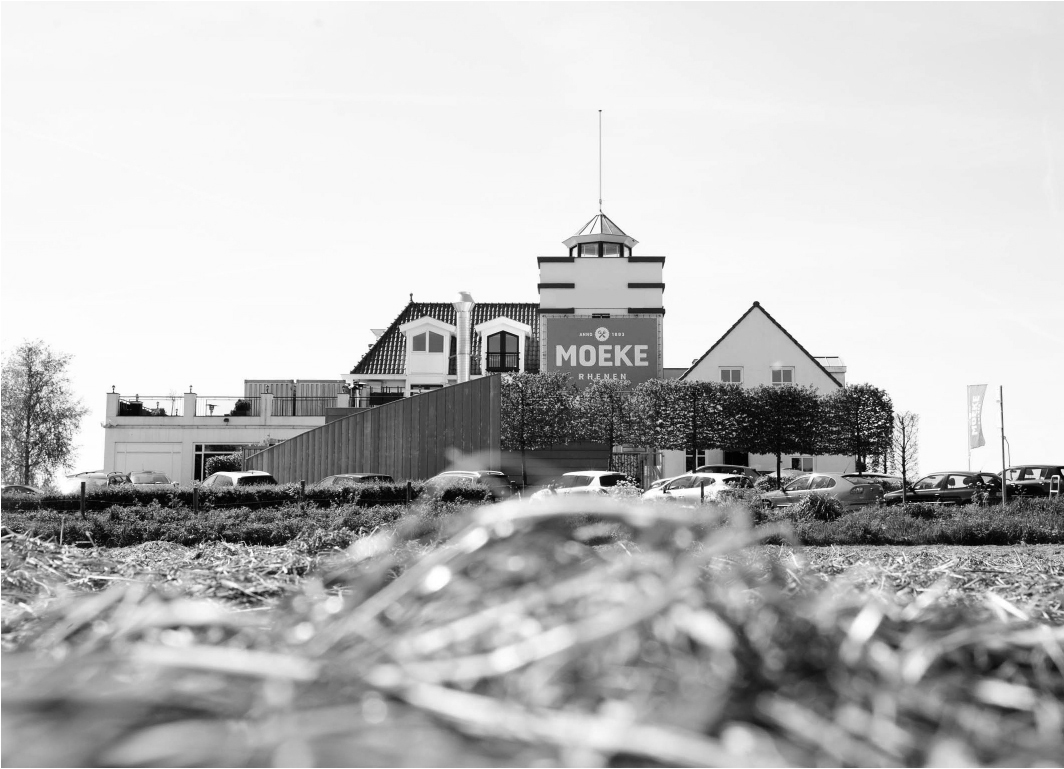 Rhenen pandfoto banner.jpg